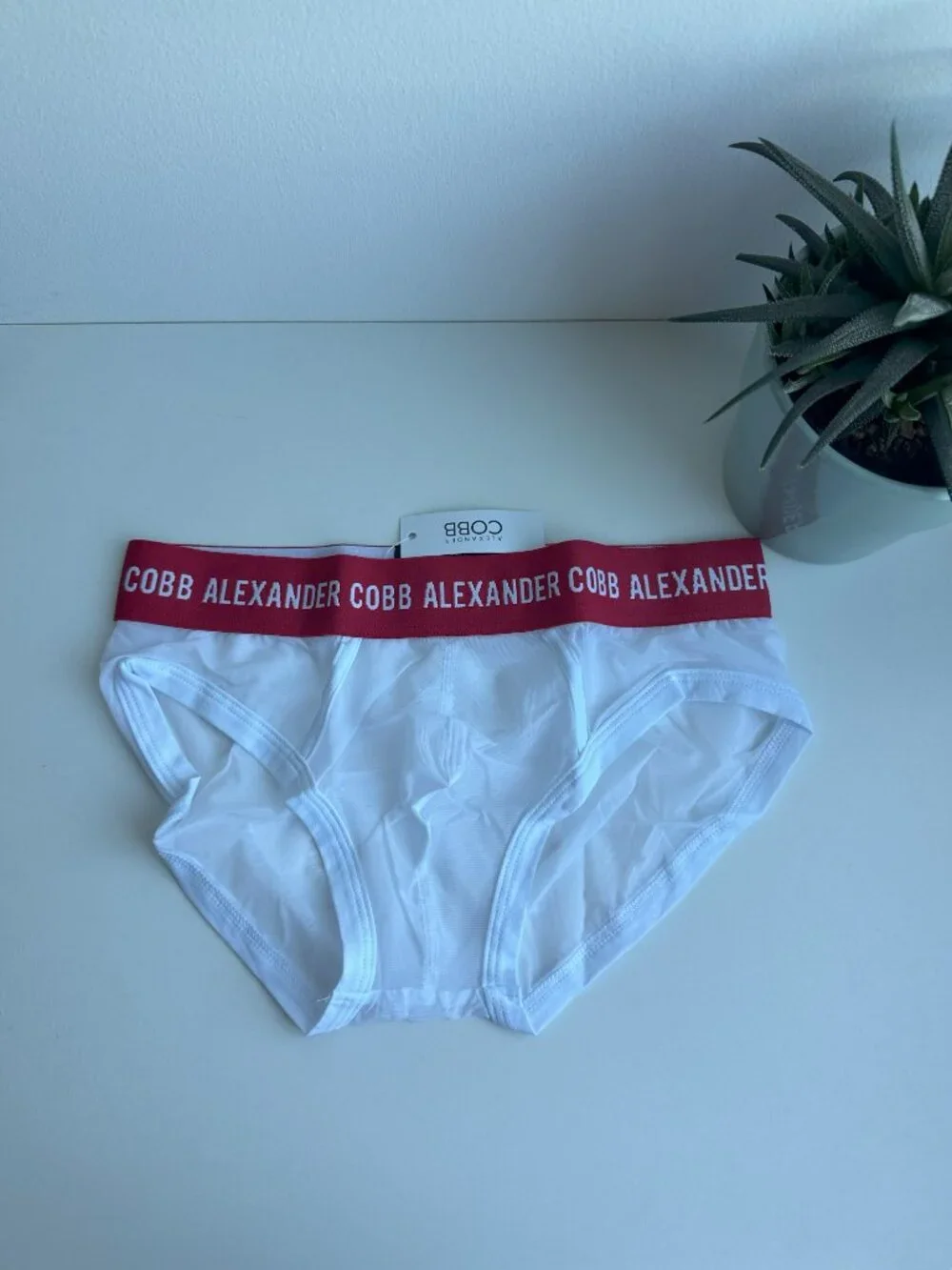 Alexander Cobb - Transparent Slip Brief - White (S)